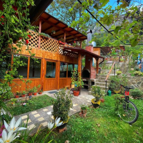 Casa Coman